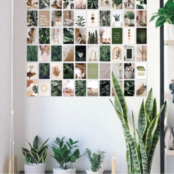 50 Pcs Aesthetic Pictures Wall Collage Kit 4x6 green/tan - Picture 3 of 5